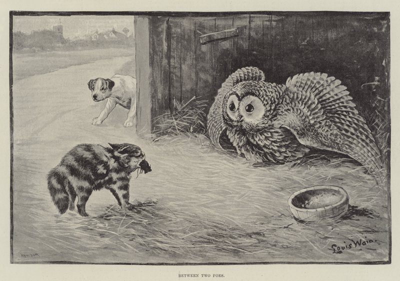 Entre dos enemigos de Louis Wain