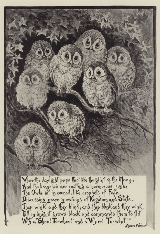 Los Búhos de Louis Wain de Louis Wain