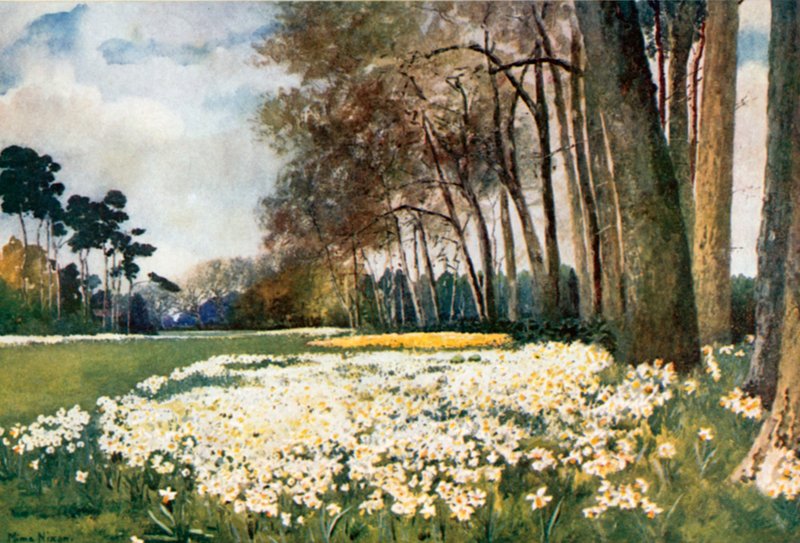 El Parque, Sandringham de Mima Nixon
