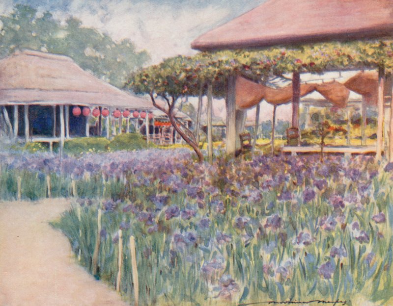 Un jardín de iris de Mortimer Ludington Menpes
