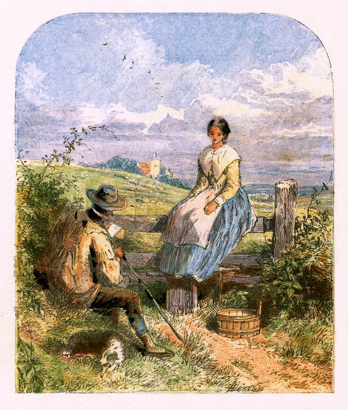 Ilustración para 