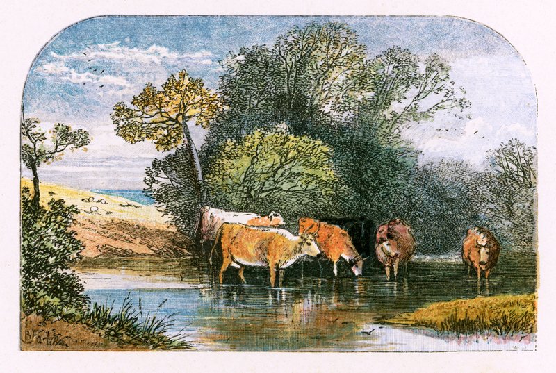 Ilustración para 