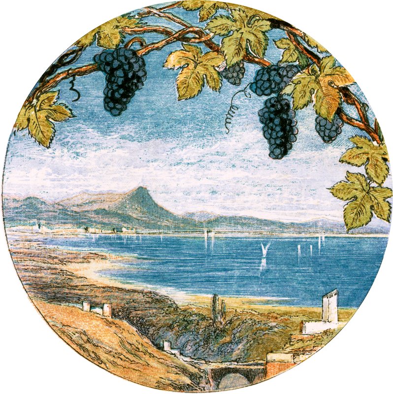 Ilustración para 