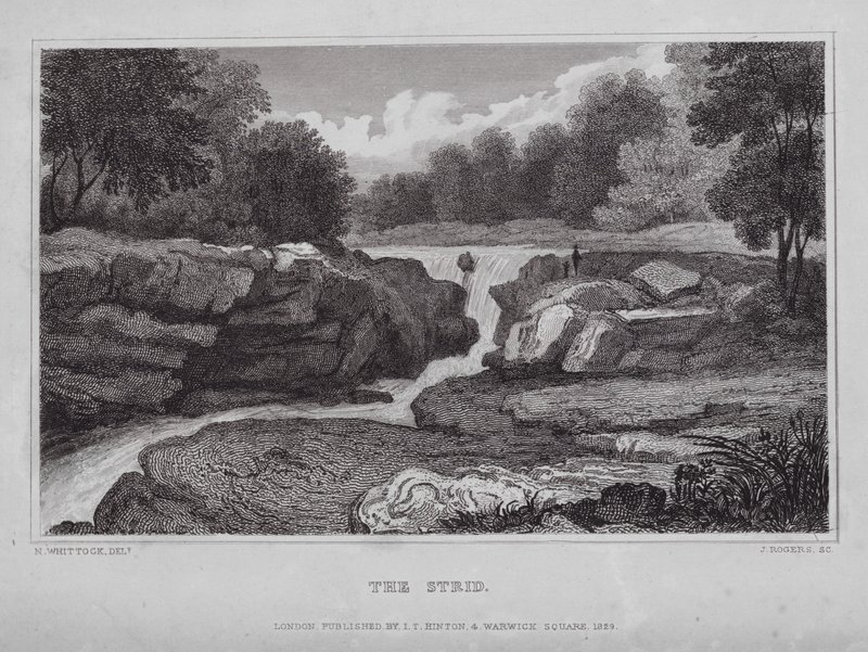 The Strid de Nathaniel (after) Whittock