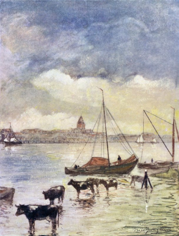 El río Ysel de Nico Jungman