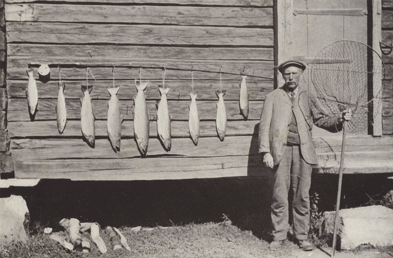Pesca de truchas de Norwegian Photographer