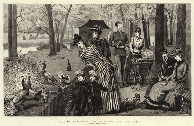 Alimentando a los pavos reales en los Jardines de Kensington de Percy Macquoid