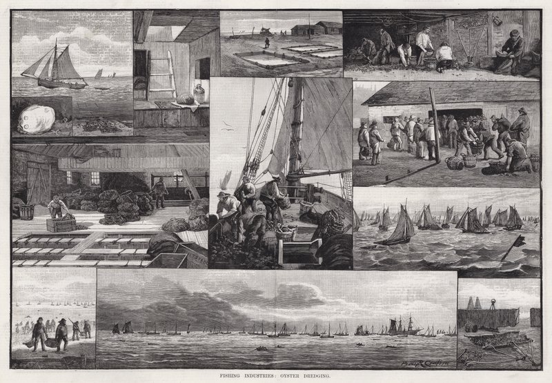 Industrias pesqueras, dragado de ostras de Percy Robert Craft