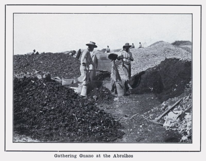 Recolección de guano en los Abrolhos de Photographer Australian