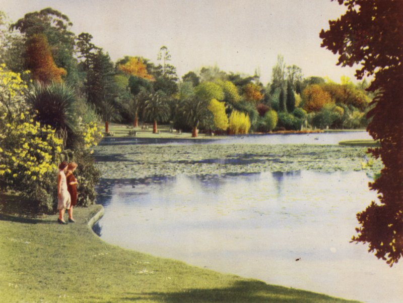 Jardines Botánicos de Melbourne (foto a color) de Photographer Australian