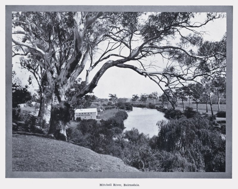 Río Mitchell, Bairnsdale de Photographer Australian