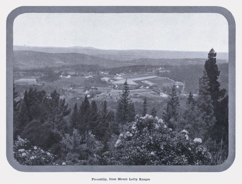 Piccadilly, desde Mount Lofty Ranges de Photographer Australian