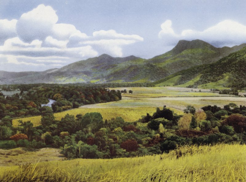 Queensland, Australia: Tierras de Azúcar en Mossman de Photographer Australian