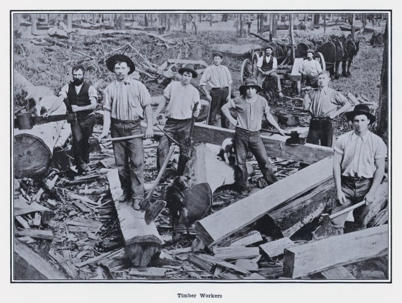 Trabajadores de la madera de Photographer Australian