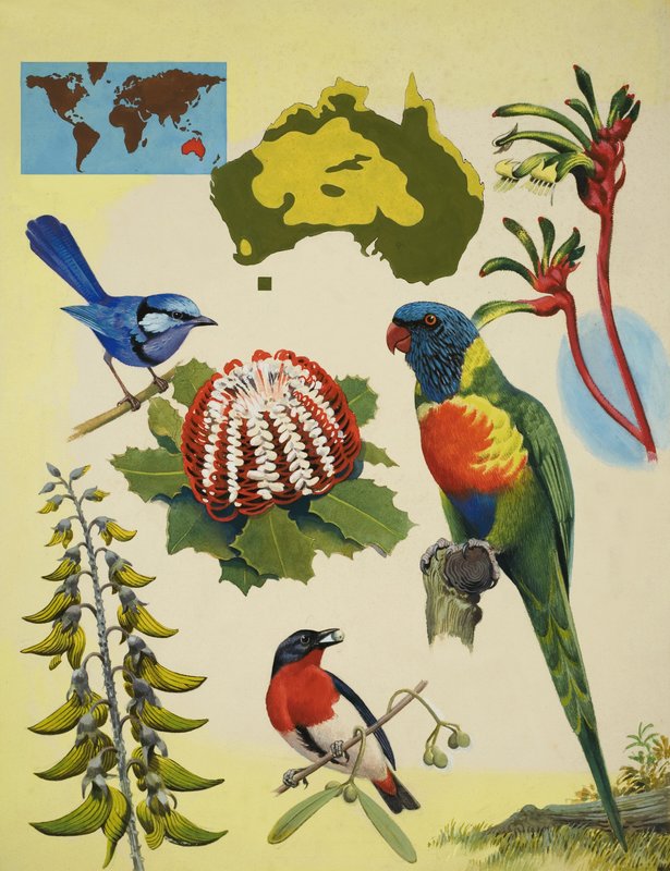 Fauna de Australia de R.B. Davis