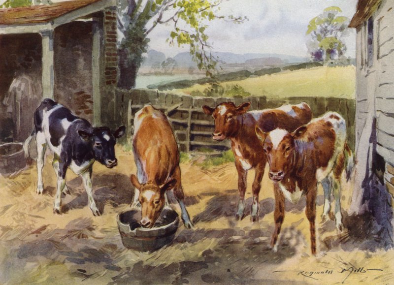 Ilustración para Mi granja (litografía en color) de Reginald Mills
