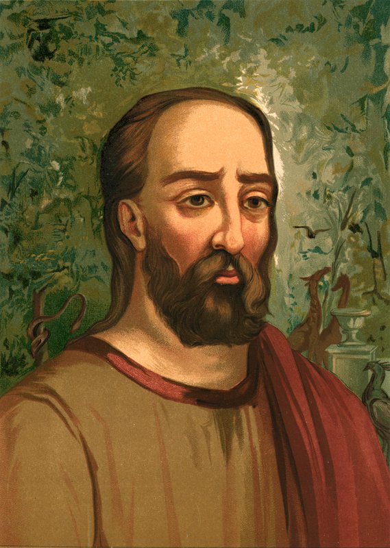Plinio el Viejo de Ricardo Marti
