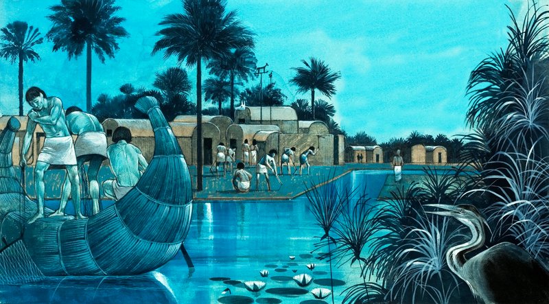 La vida en el valle del Nilo de Richard Hook