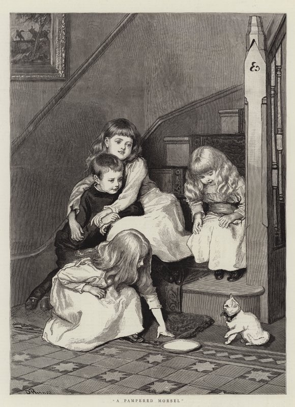Un bocado mimado de Robert Barnes