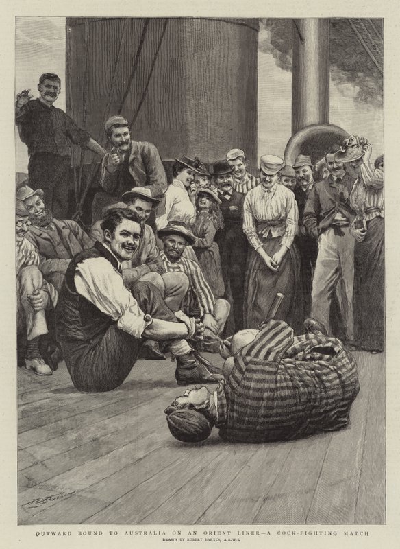 Rumbo a Australia en un Orient Liner, una pelea de gallos de Robert Barnes