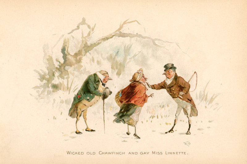 Ilustración para The Twigs o Navidad en Ruddock Hall de Robert Dudley