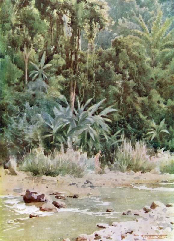Un arroyo en la jungla de Robert George Talbot Kelly