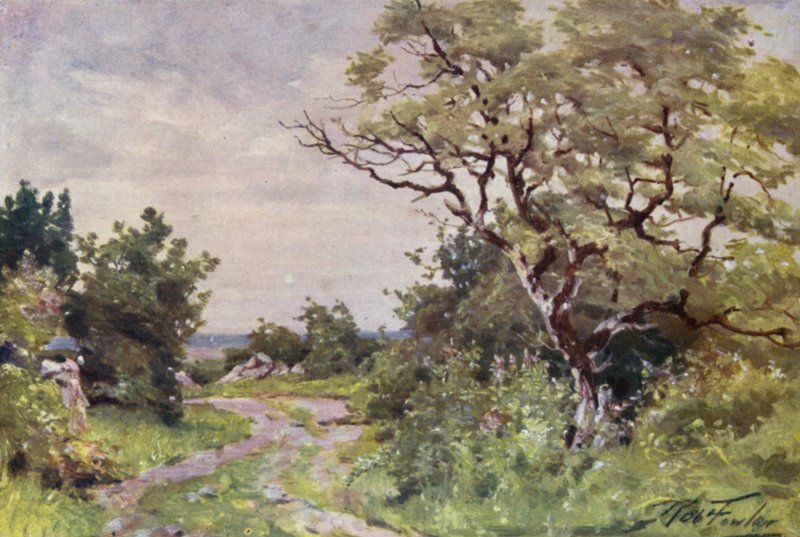 Camino de campo, cerca de Llanrug de Robert (after) Fowler