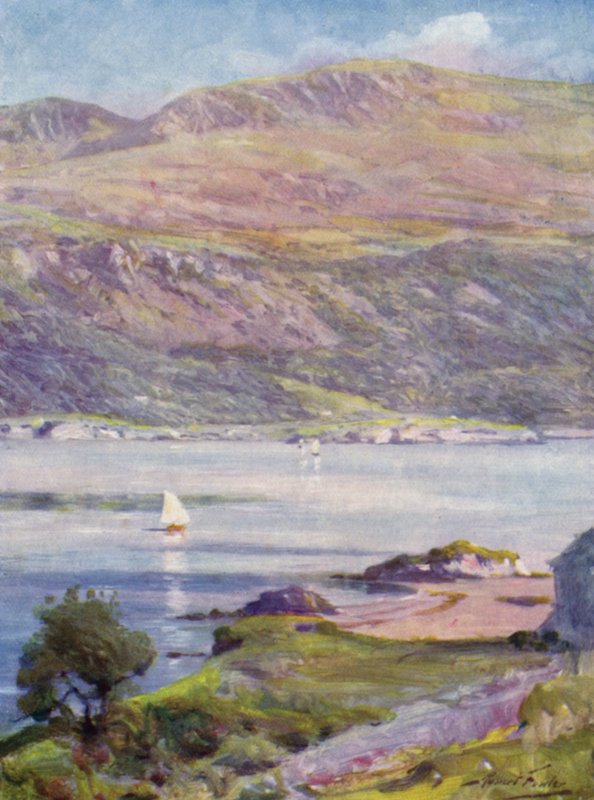 Tarde Soleada, Bahía de Cardigan de Robert (after) Fowler