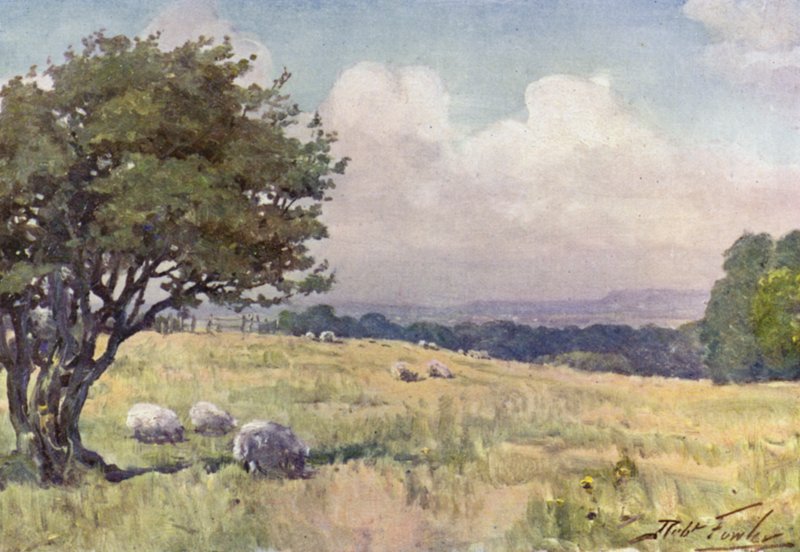 Campo soleado, cerca de Llanberis de Robert (after) Fowler
