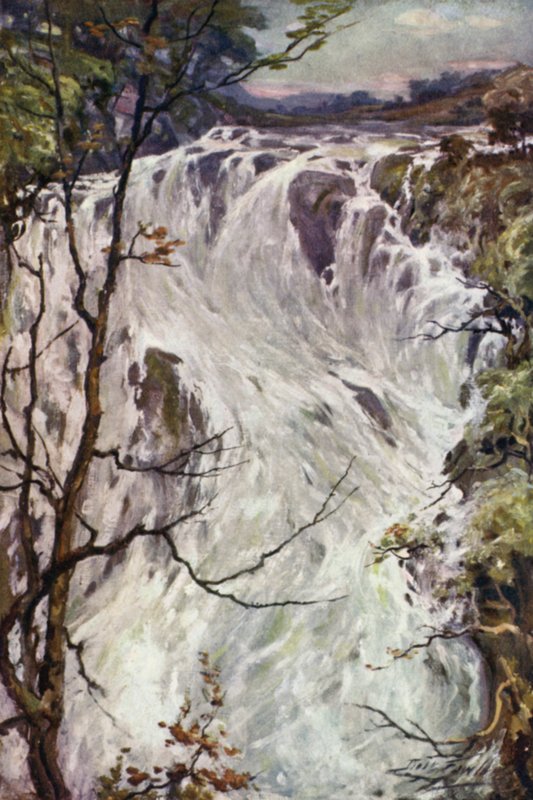 Cascadas Swallow, Bettws-y-Coed de Robert (after) Fowler