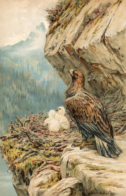 Niños de la Montaña de Robert Morley