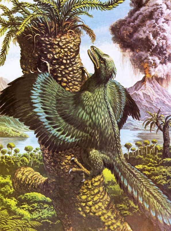 Archaeopteryx de Roger Payne