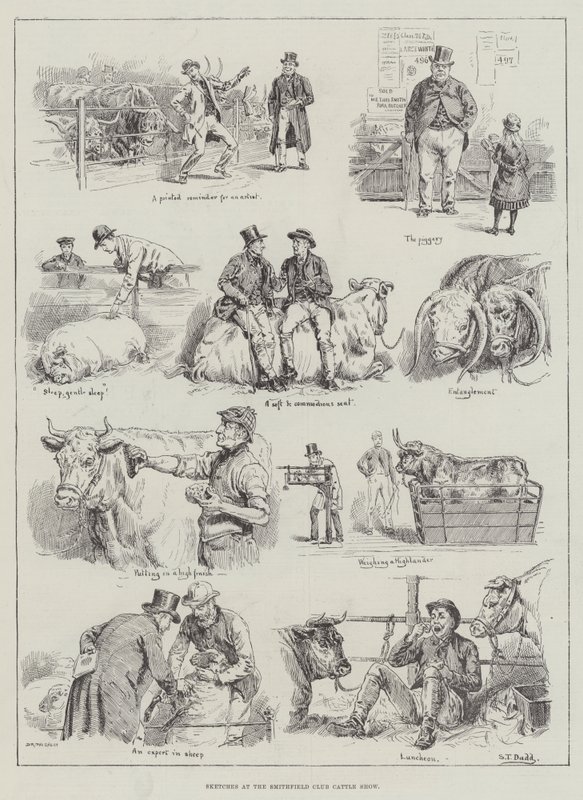 Bocetos en la Exposición de Ganado del Club Smithfield de S.T. Dadd