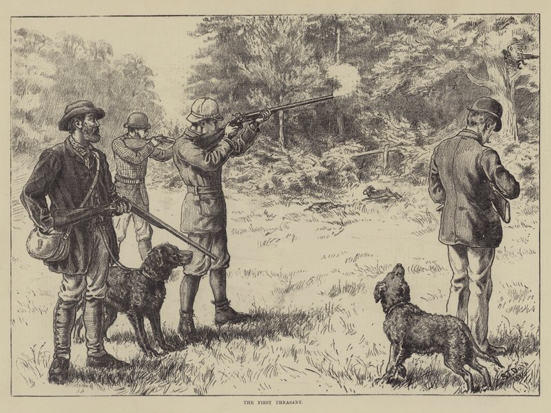 El primer faisán de S.T. Dadd