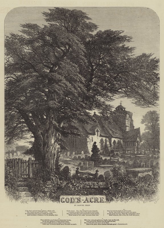 El Campo de Dios de Samuel Read