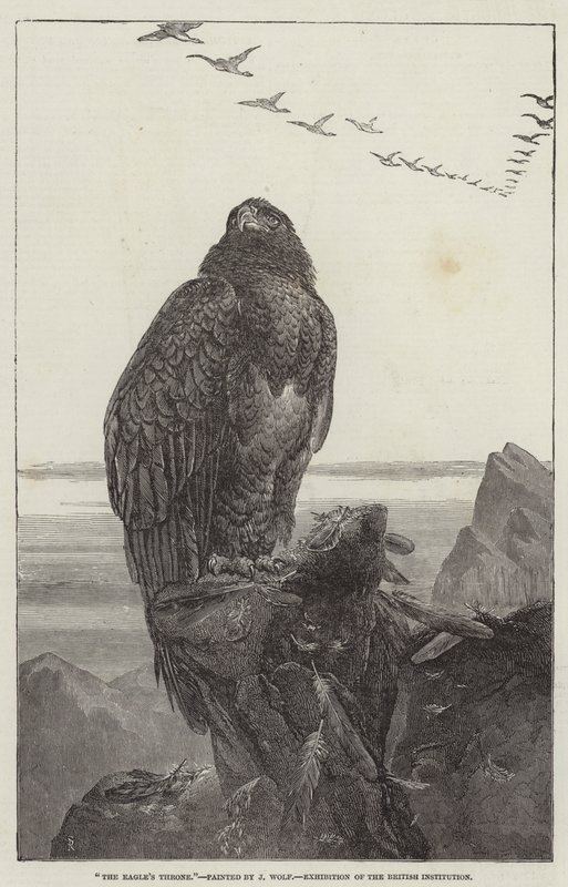 El Trono del Águila, Exposición de la Institución Británica de Samuel Read