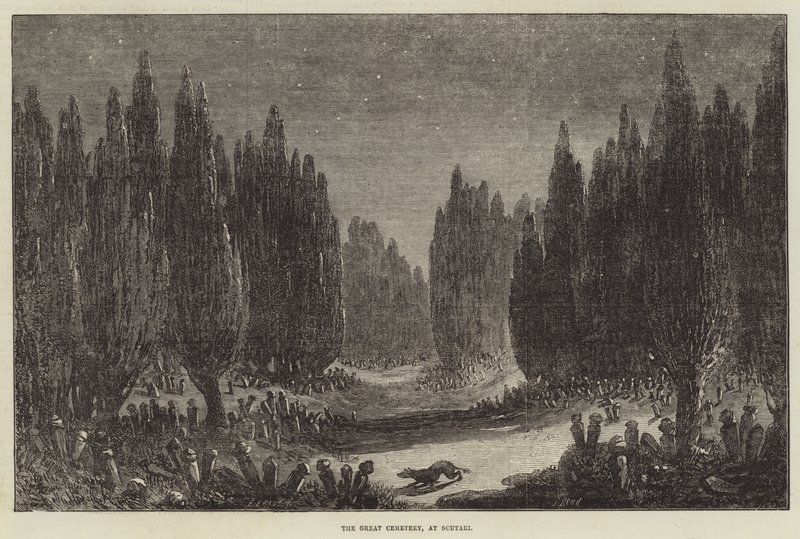 El Gran Cementerio, en Scutari de Samuel Read