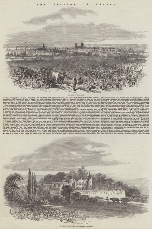 La vendimia en Francia de Samuel Read
