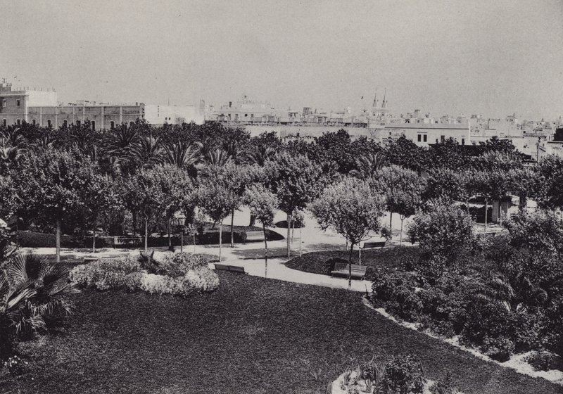 Cádiz: Parque Genovés de Spanish Photographer