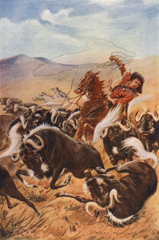 Cowboy lassoing muskoxen (litografía en color) de Stanley (after) Berkeley