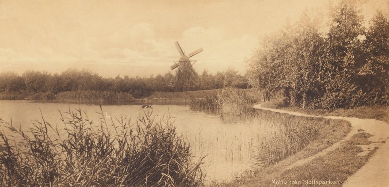 Malmo: Motivo de Slottsparken (foto b/n) de Swedish Photographer
