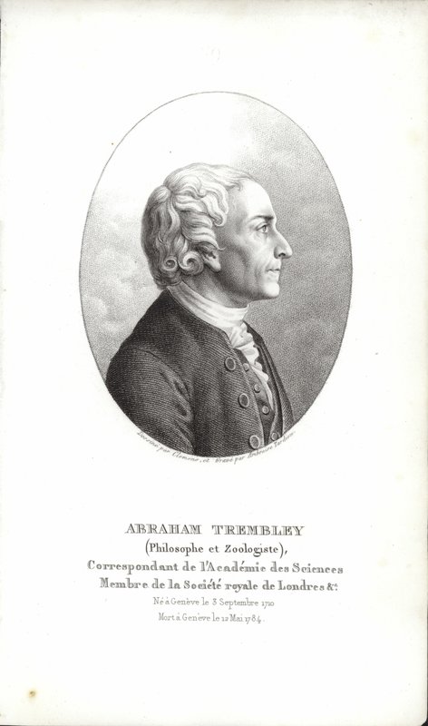 Abraham Trembley de Swiss School