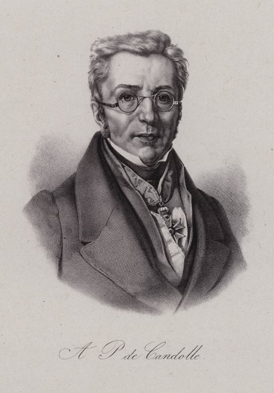 Augustin Pyramus de Candolle, botánico suizo de Swiss School