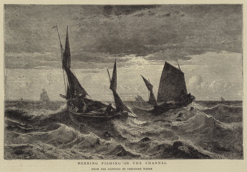 Pesca de arenques en el canal de Theodore Weber