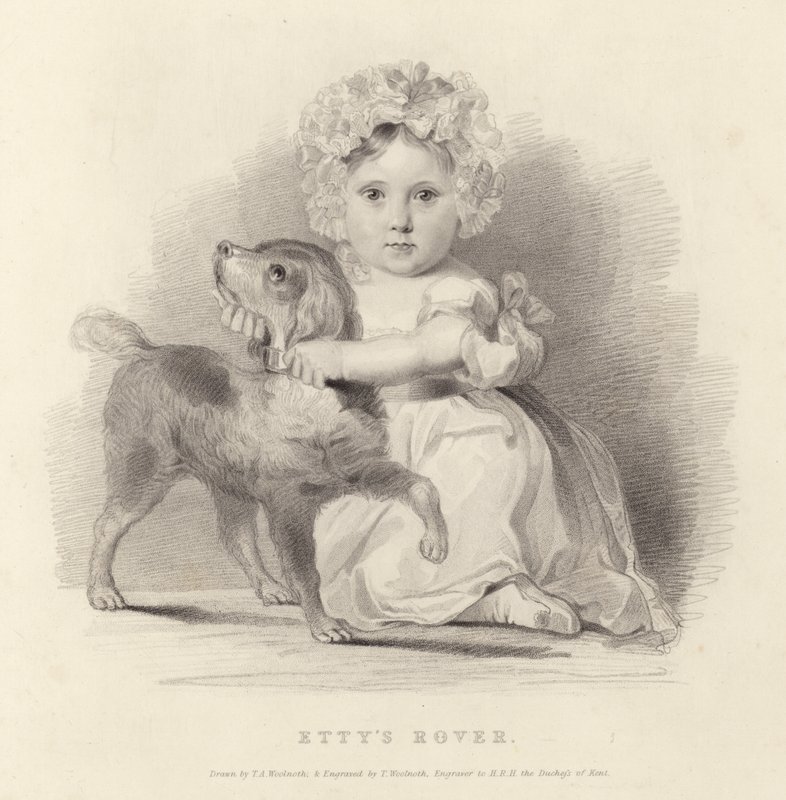 Rover de Etty de Thomas A. Woolnoth