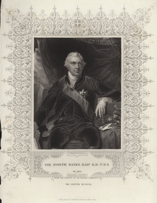 Sir Joseph Banks de Thomas Lawrence