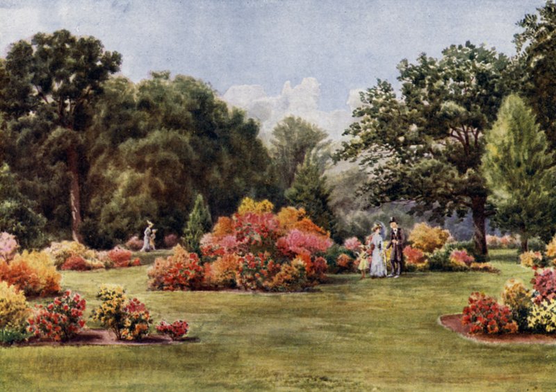 Jardines de Kew: Las azaleas de Thomas Mower Martin