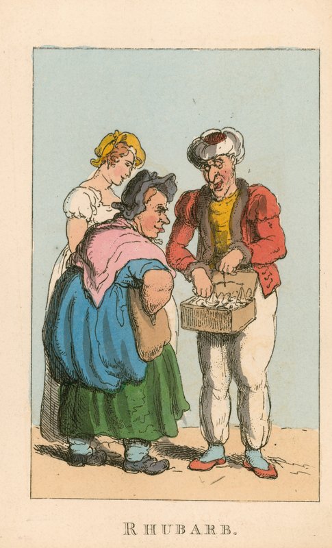 Ruibarbo de Thomas Rowlandson