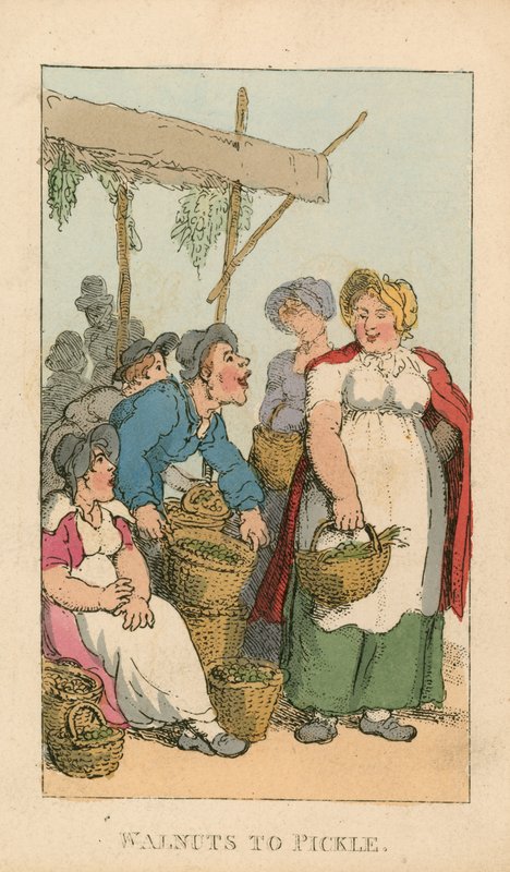Nueces para encurtir de Thomas Rowlandson