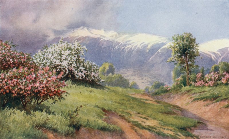 La Tierra de las Rosas de Unbekannt Unbekannt